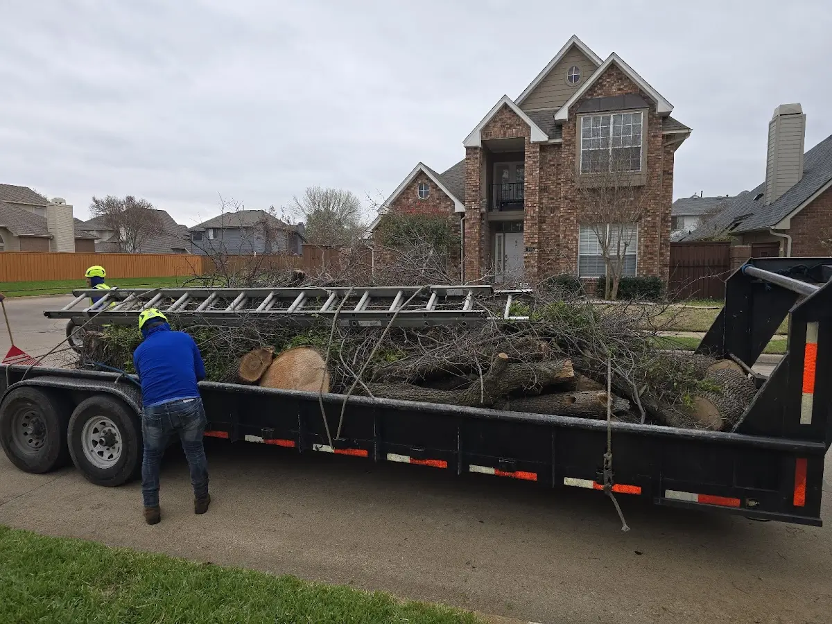 Expert Tree Fertilization with proper safety equipment in Binford